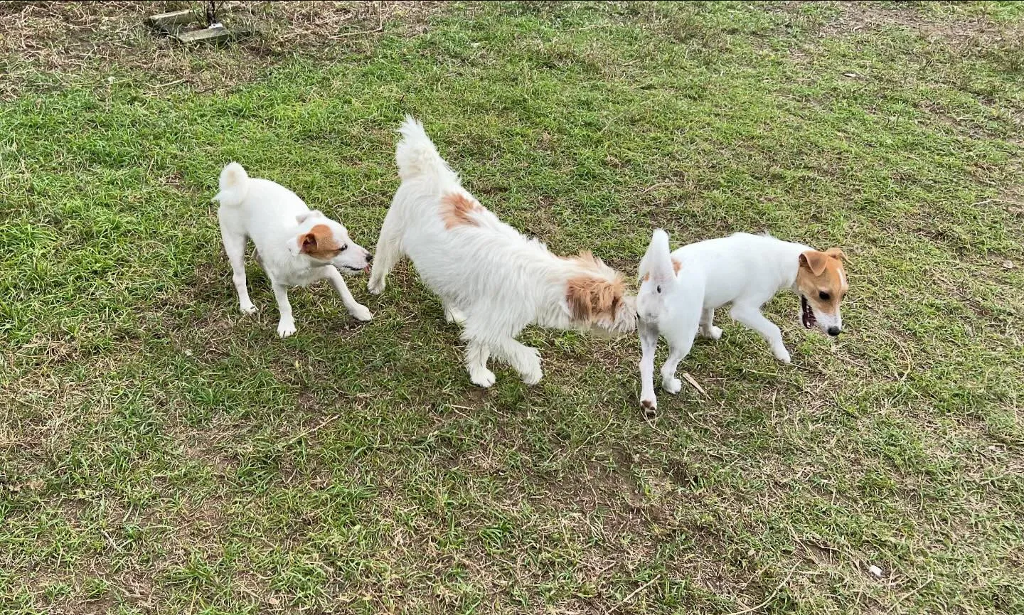 今日はくるみちゃんが遊びに来てくれました☺️