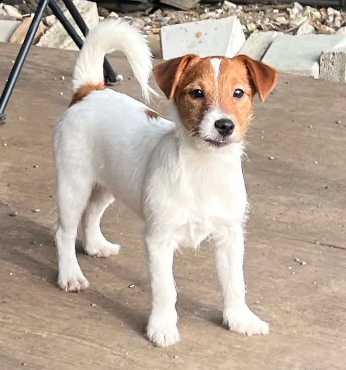 やえ次男くん2024年12月7日生まれ