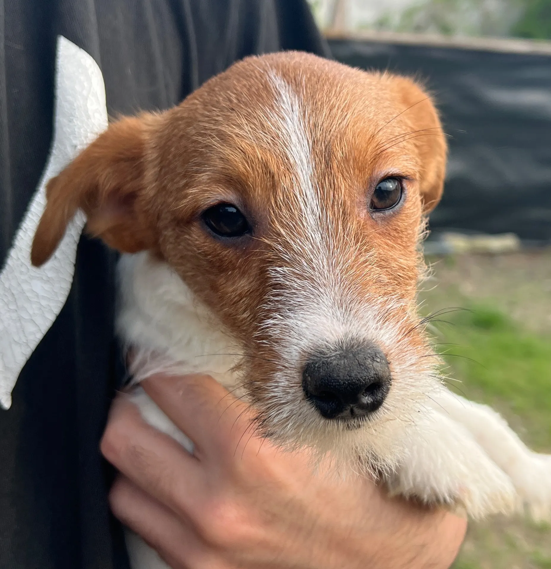 やえ三男くん2024年12月7日生まれ