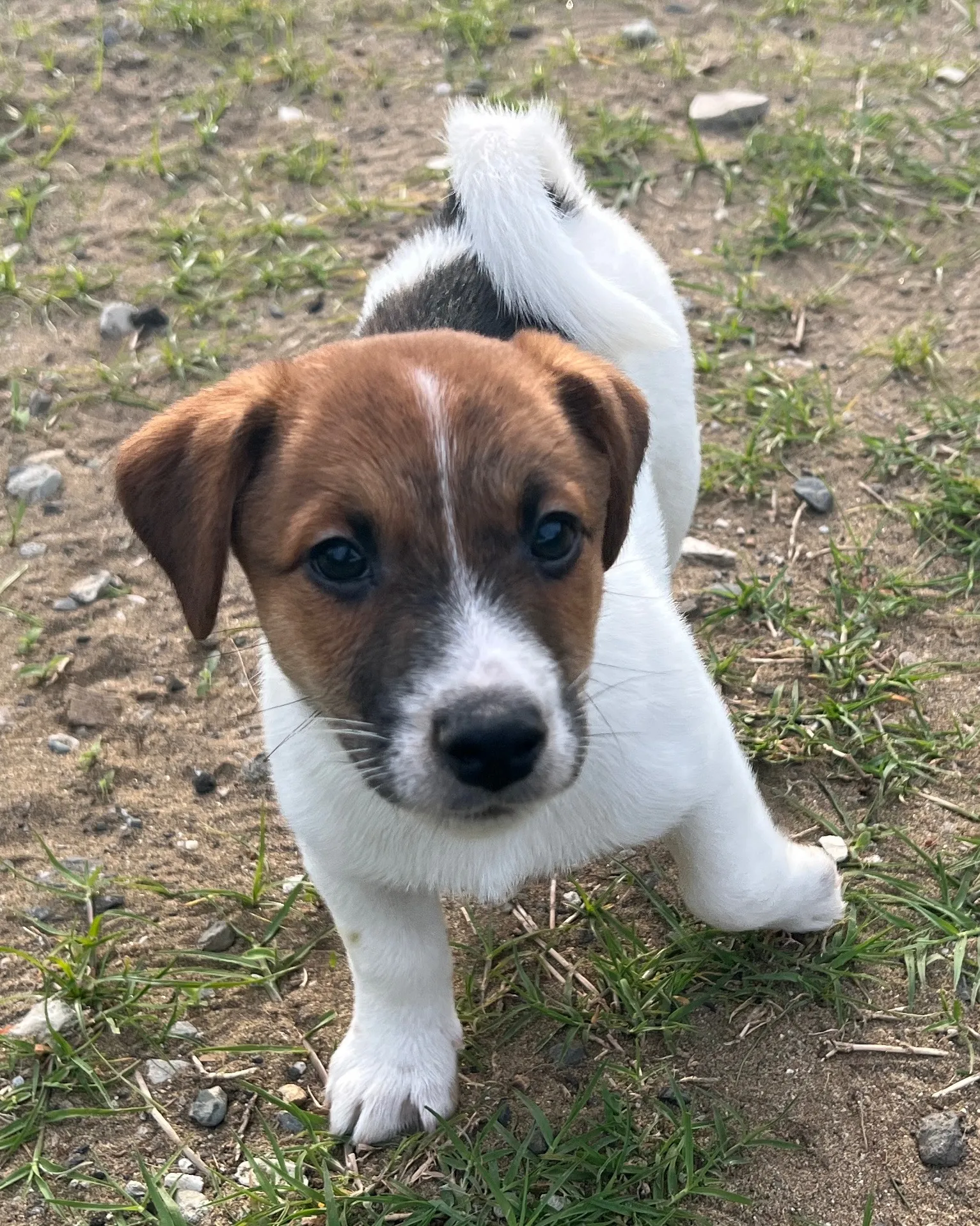 アナ四男くん2025年2月21日生まれ