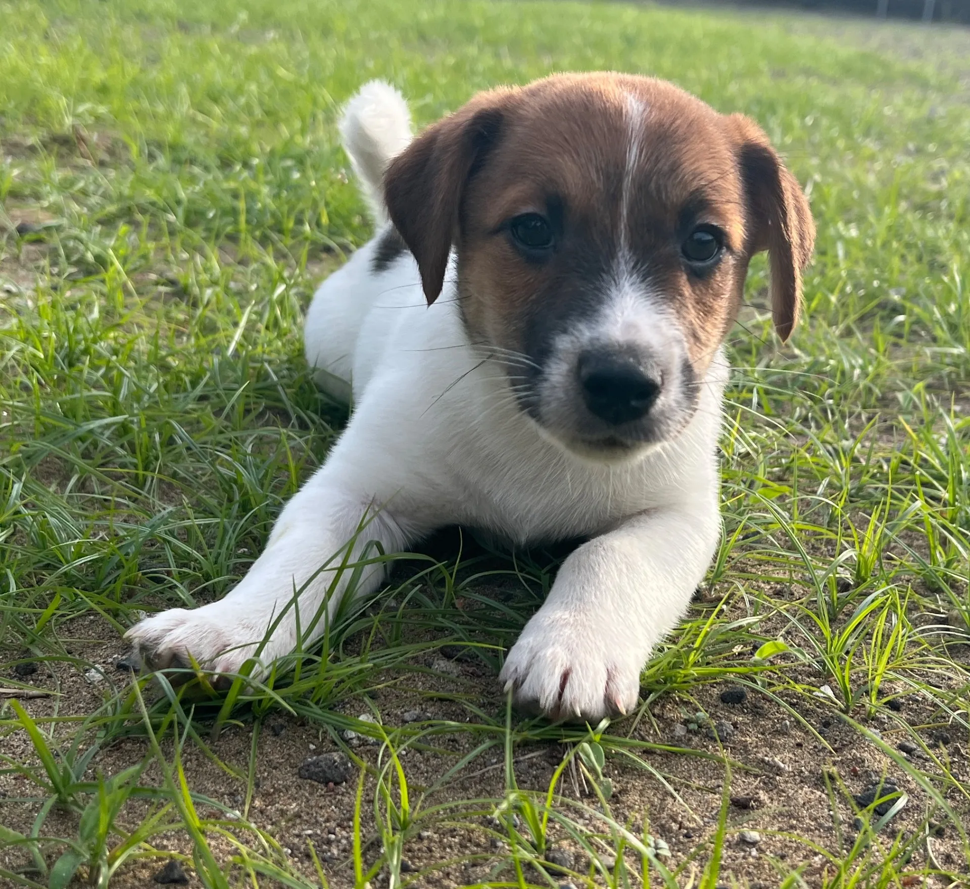 アナ四男くん2025年2月21日生まれ