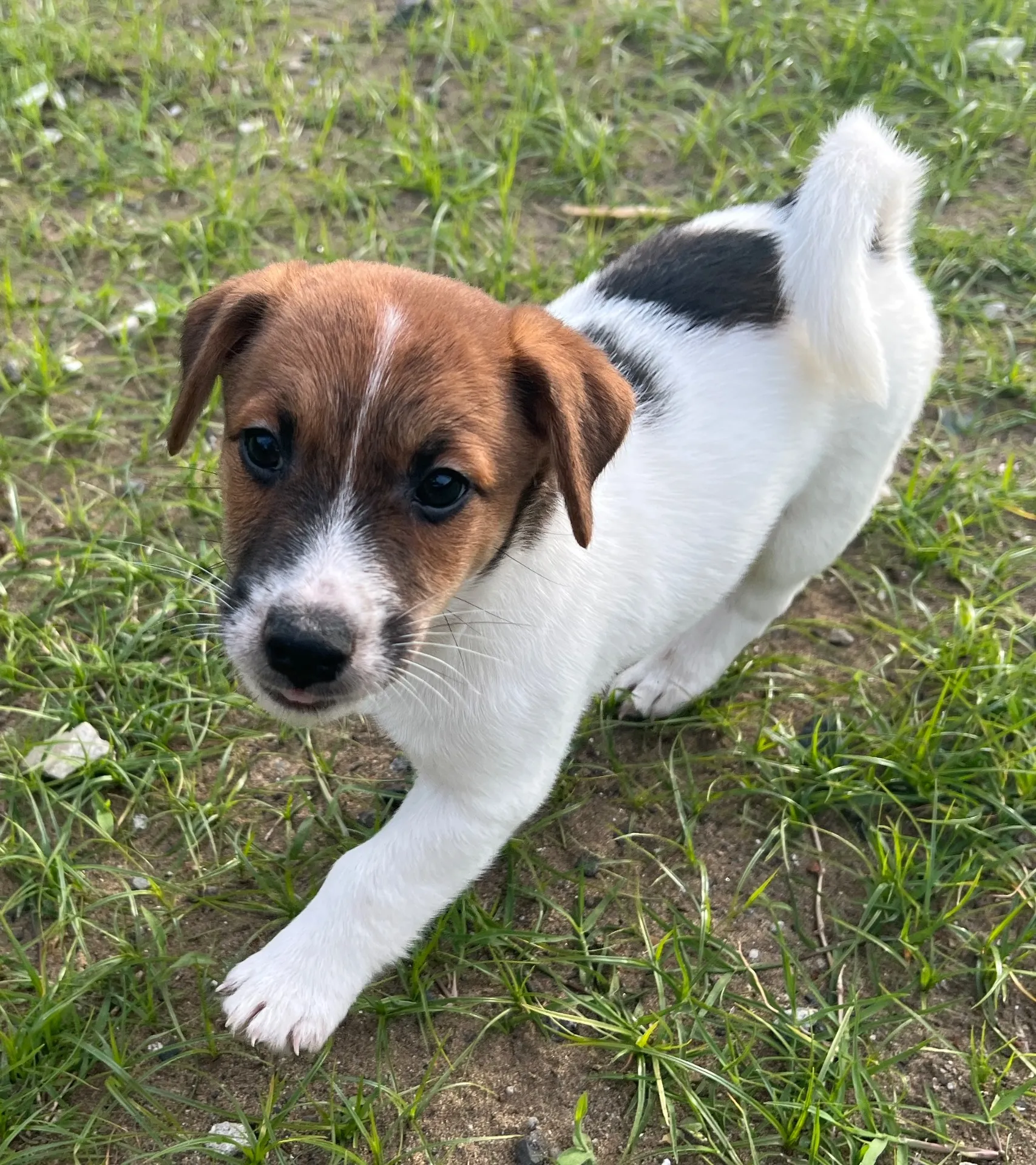 アナ四男くん2025年2月21日生まれ