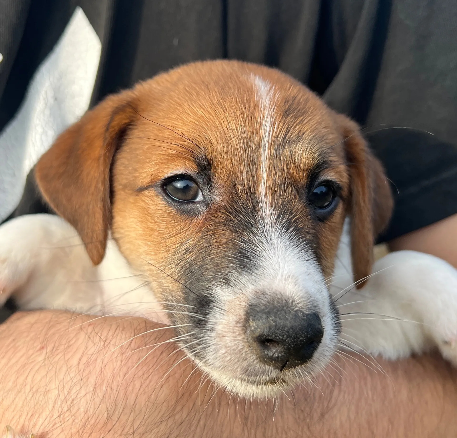 アナ四男くん2025年2月21日生まれ