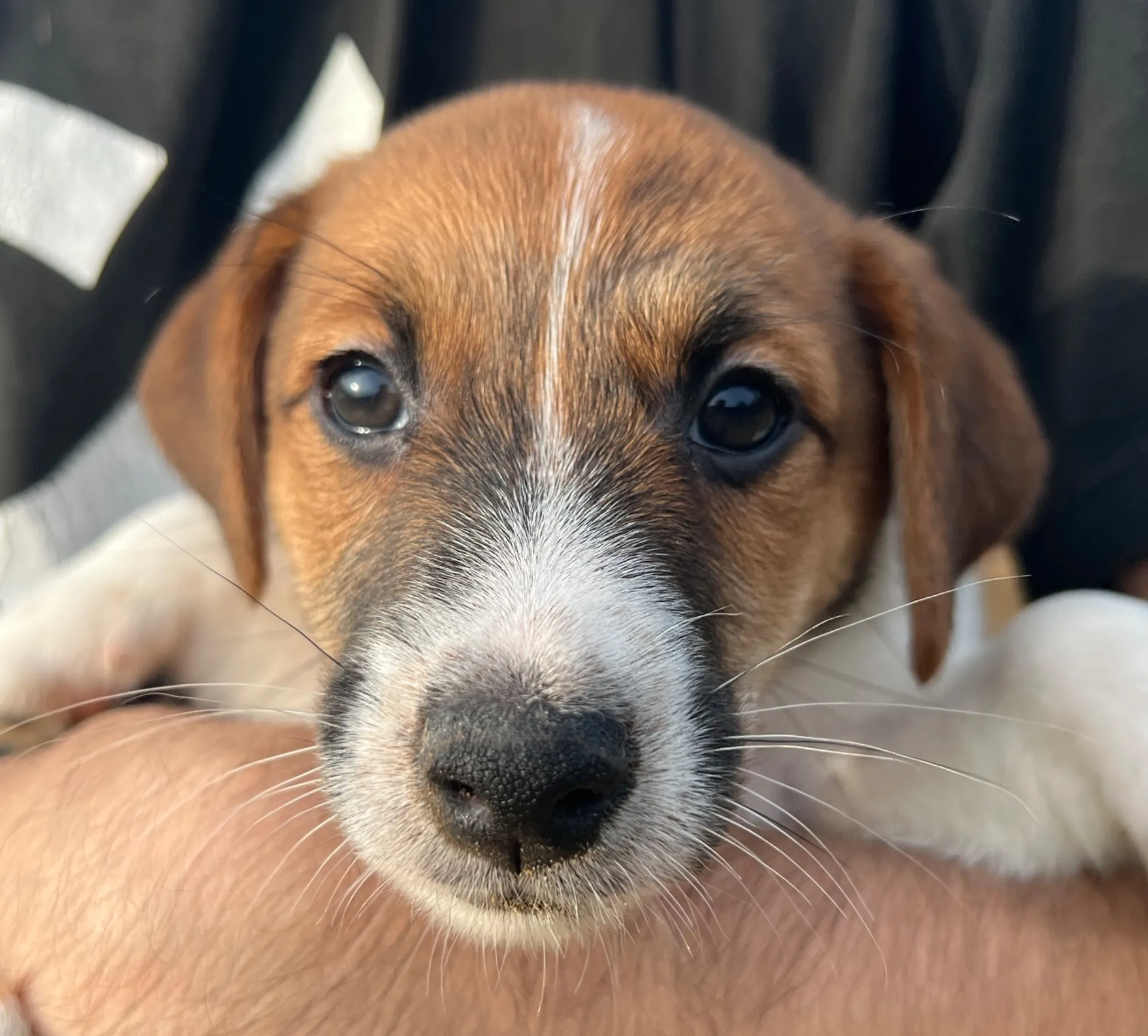 アナ四男くん2025年2月21日生まれ