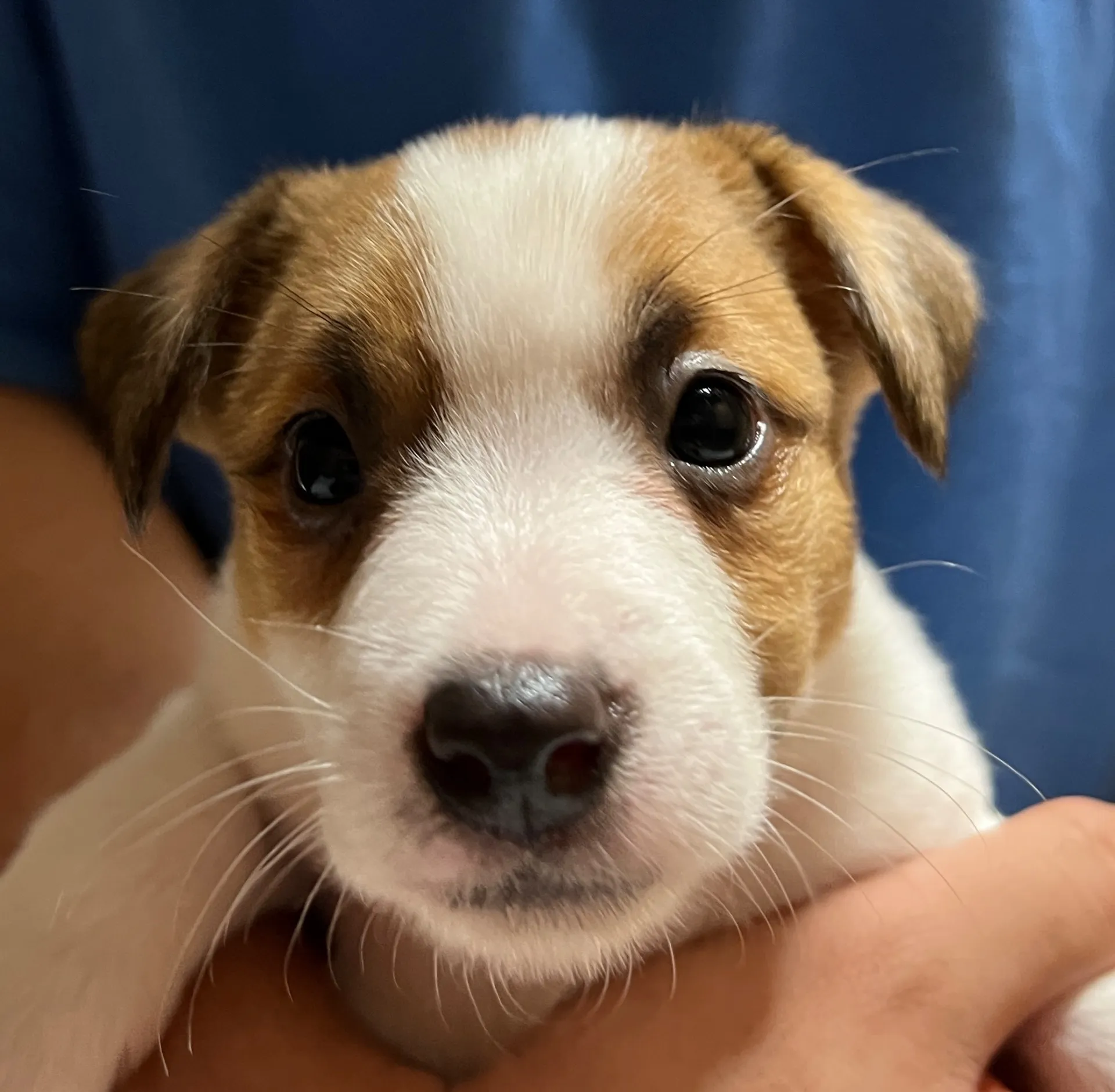 スージー長男くん、2025年3月23日生まれ