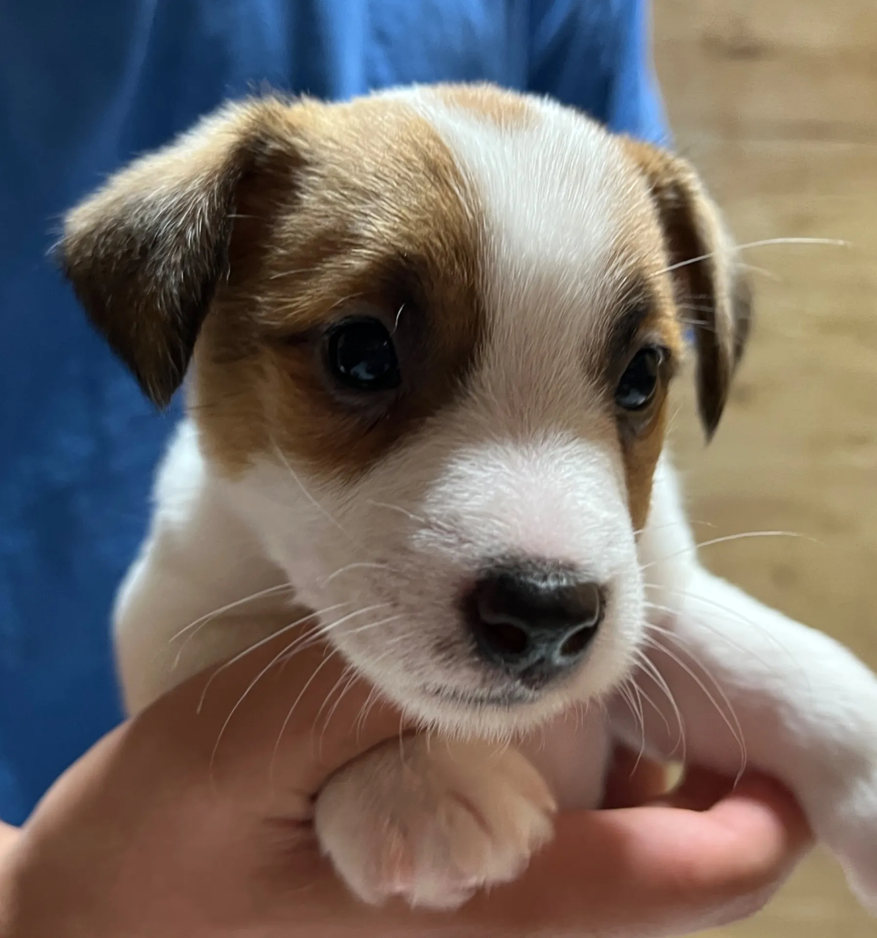 スージー長男くん、2025年3月23日生まれ