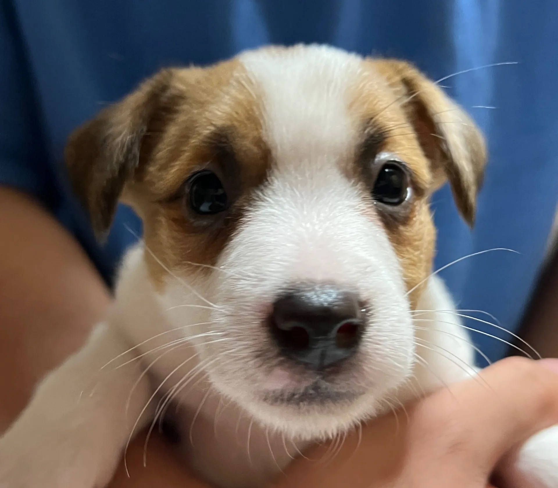 スージー長男くん、2025年3月23日生まれ