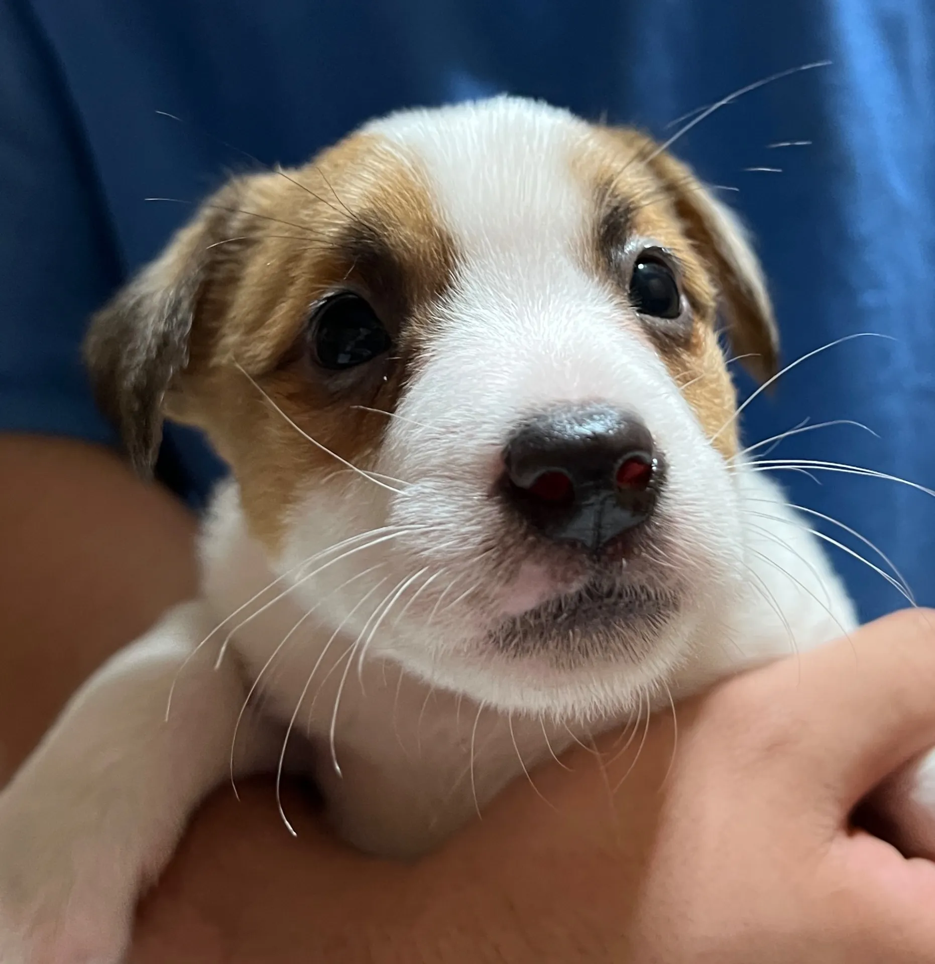 スージー長男くん、2025年3月23日生まれ