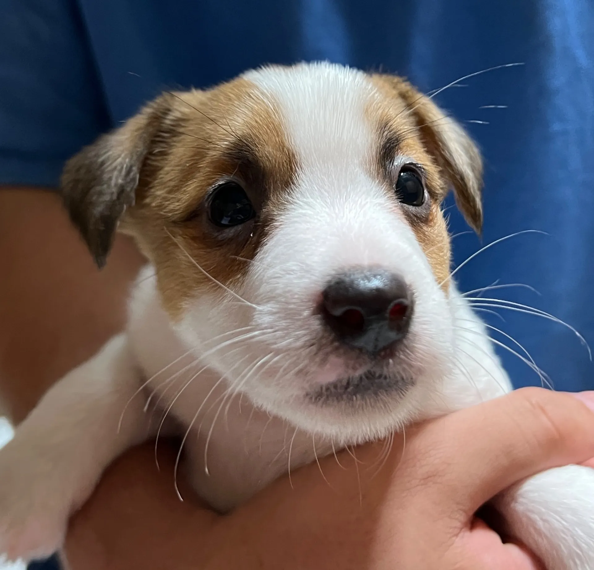 スージー長男くん、2025年3月23日生まれ