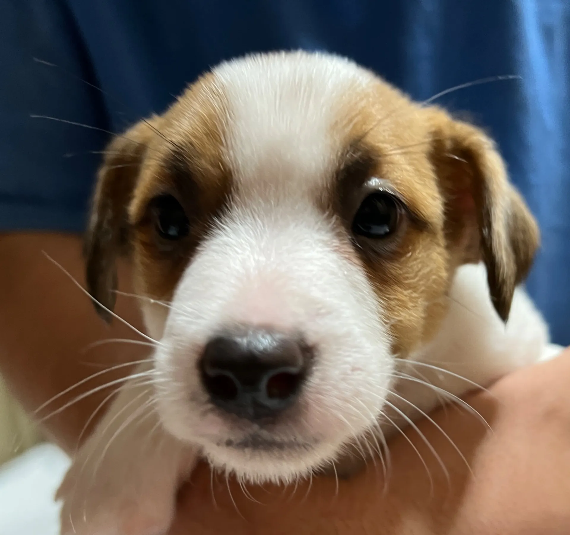 スージー長男くん、2025年3月23日生まれ