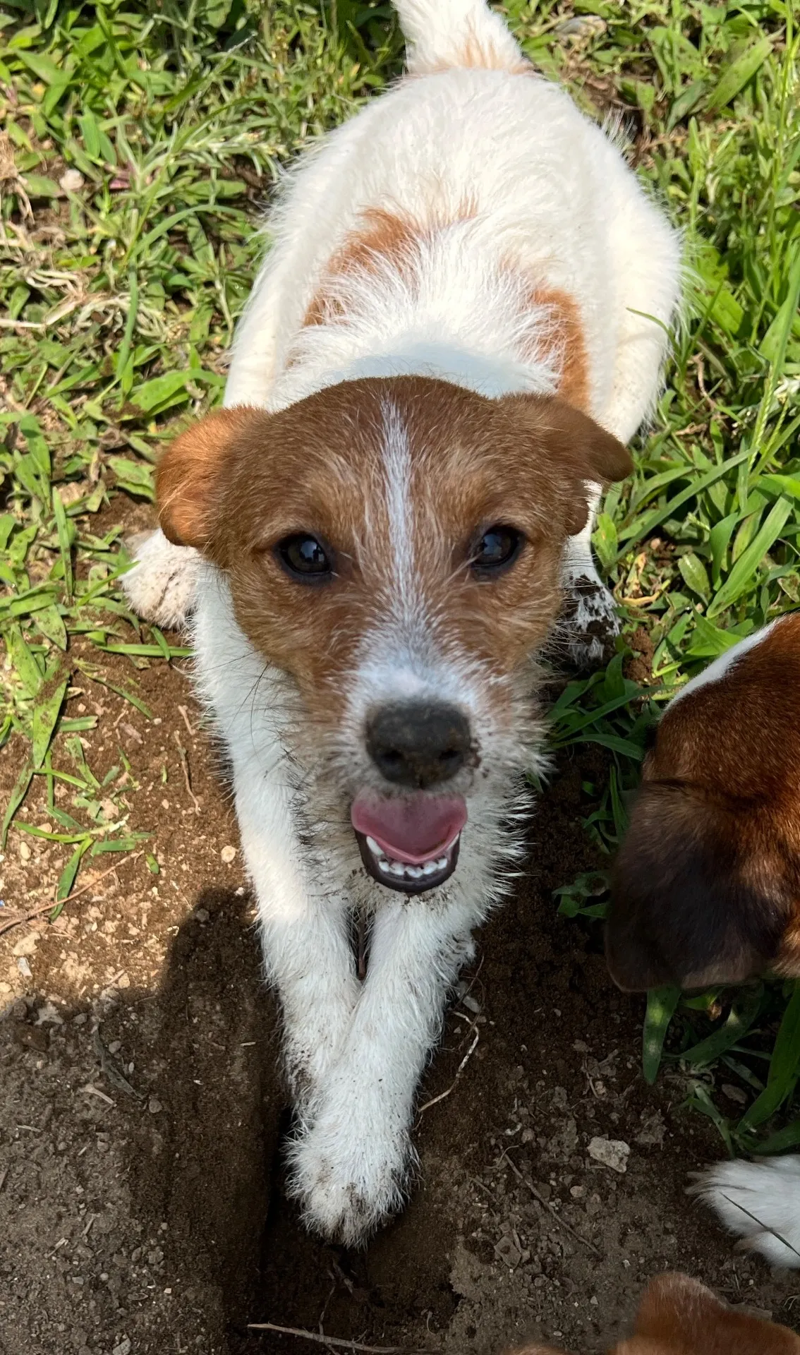 やえ三男くん2024年12月7日生まれ