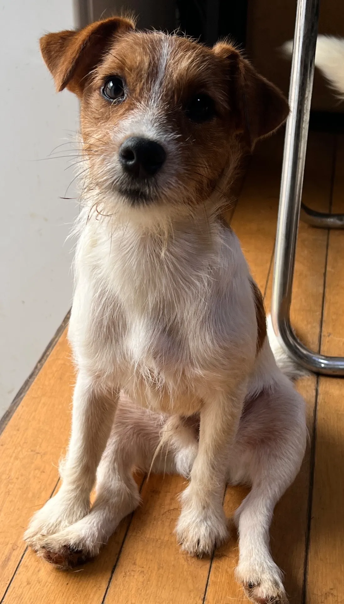 やえ三男くん2024年12月7日生まれ