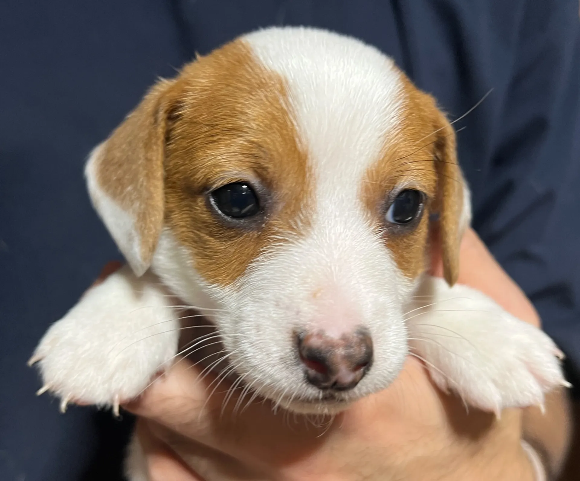 りあら長男くん、2025年10月14日生まれ
