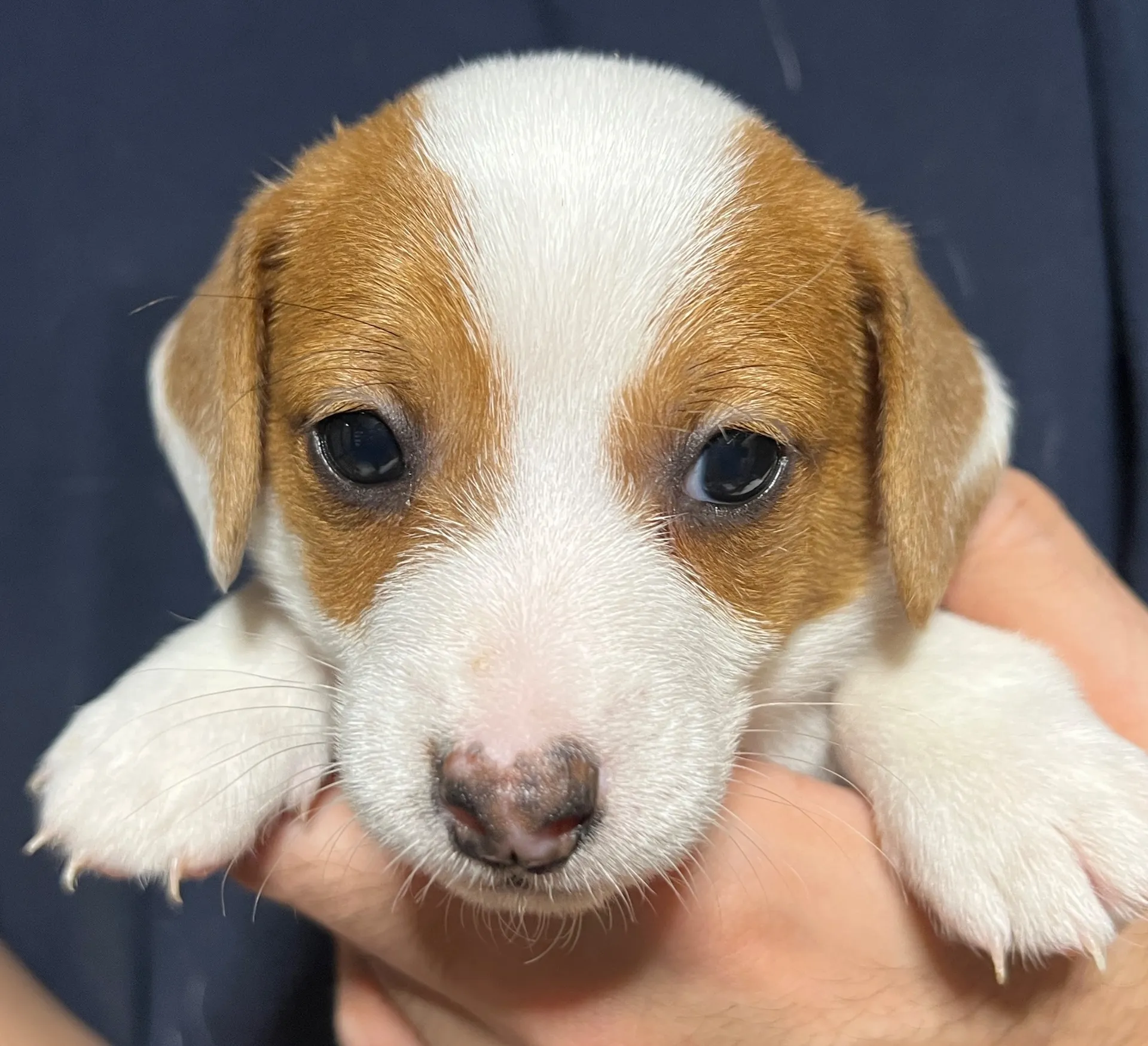 りあら長男くん、2025年10月14日生まれ