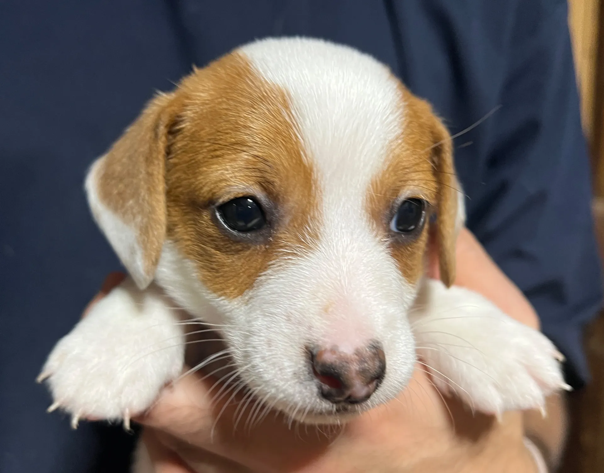 りあら長男くん、2025年10月14日生まれ