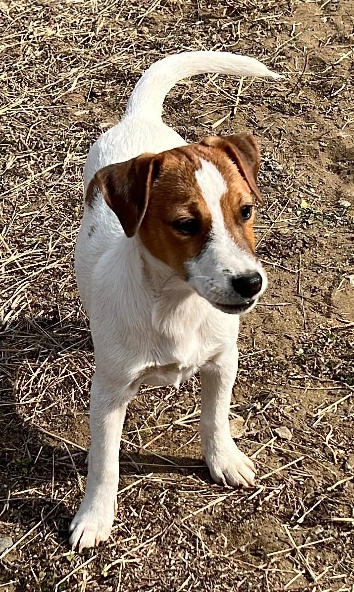 みつまめ長女ちゃん、2025年10月15日生まれ