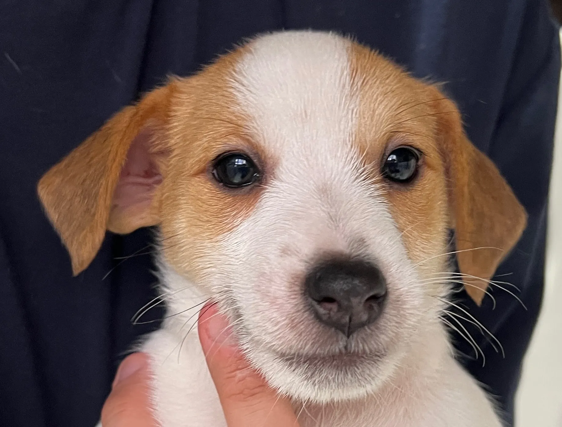 ジェシカ長男くん、2026年1月5日生まれ