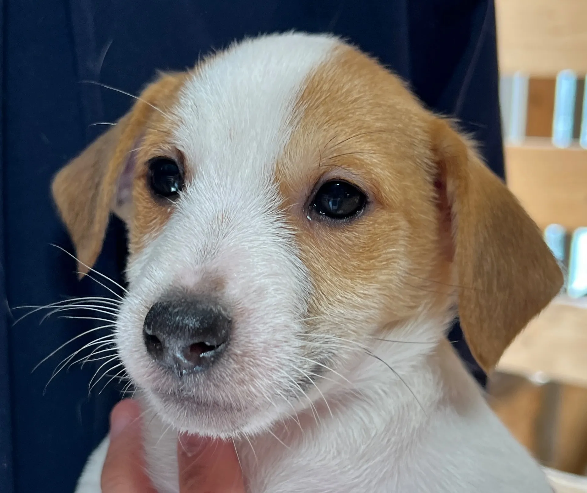 ジェシカ長男くん、2026年1月5日生まれ