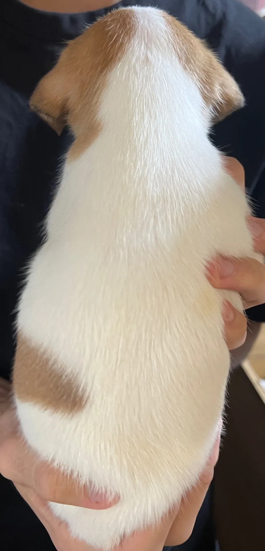 ジェシカ長男くん、2026年1月5日生まれ