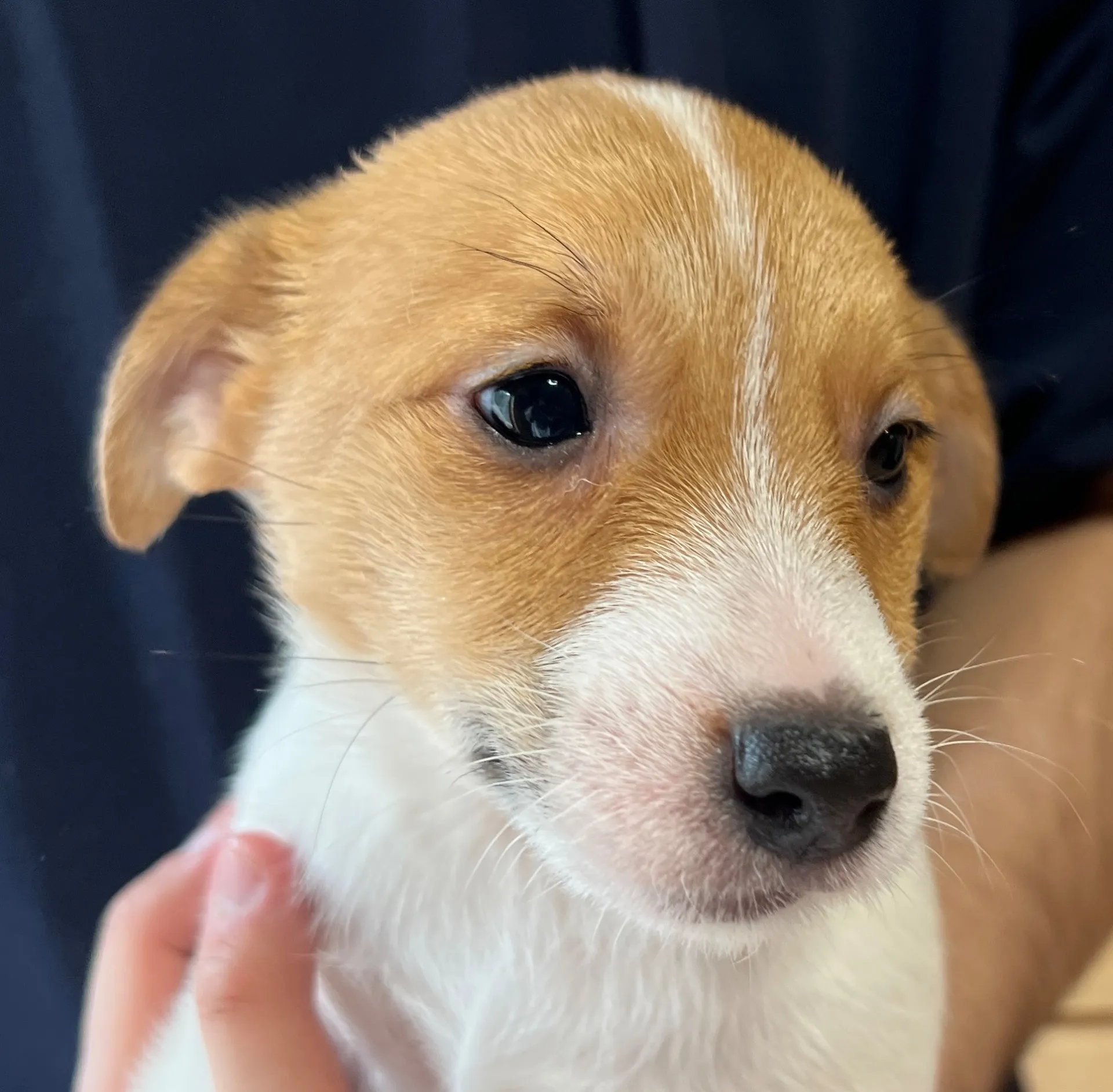 ジェシカ長女ちゃん、2026年1月5日生まれ
