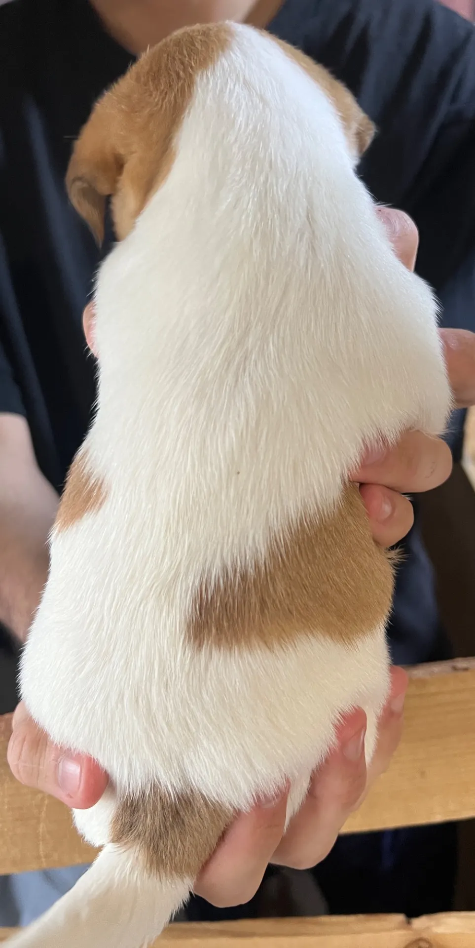 ジェシカ長女ちゃん、2026年1月5日生まれ